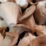 822d207d6e33917eb5e2133caef15f64