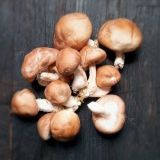 fdc286a1edc7aad366758d7b889fa1a5